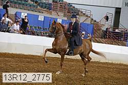 13r12_2775 proof