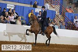 13r12_2786 proof