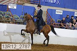 13r12_2787 proof