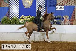 13r12_2798 proof