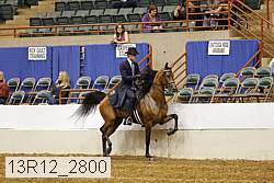 13r12_2800 proof
