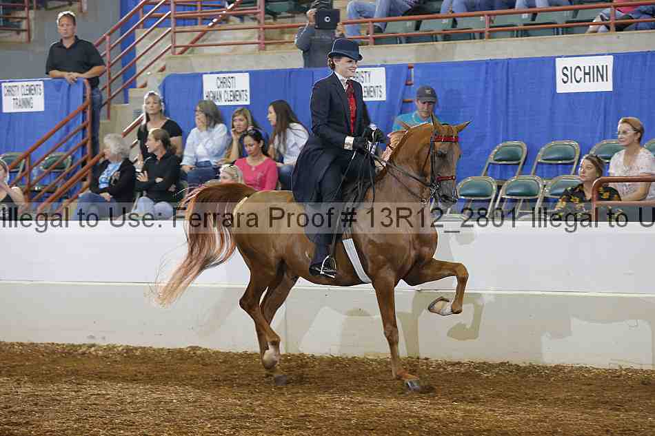 Proof 13r12_2801