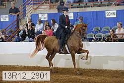 13r12_2801 proof