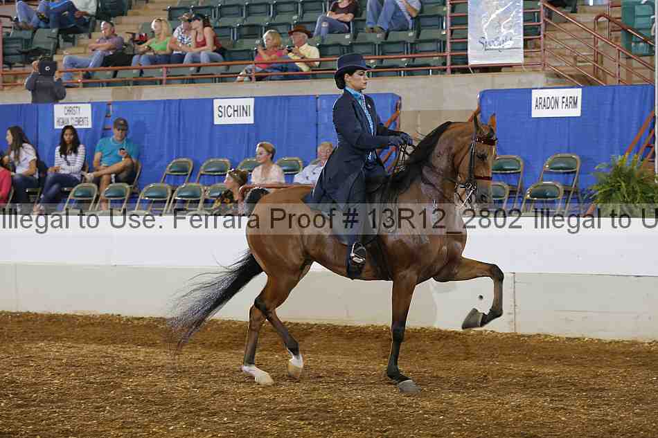 Proof 13r12_2802
