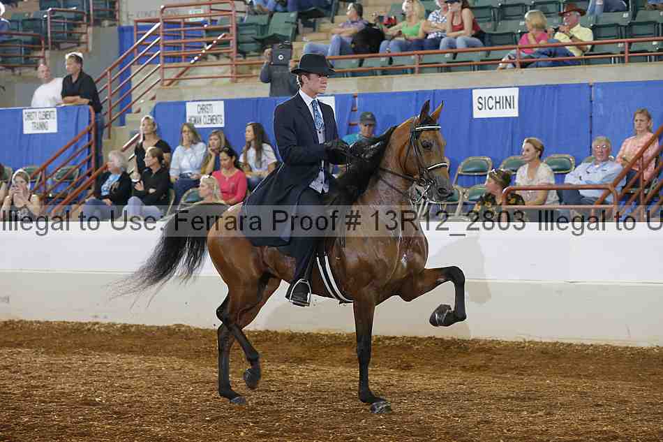 Proof 13r12_2803
