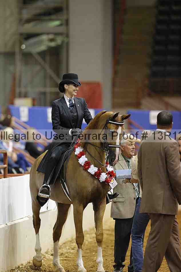 Proof 13r12_2809