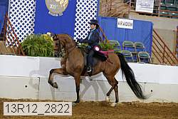 13r12_2822 proof