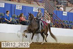 13r12_2823 proof