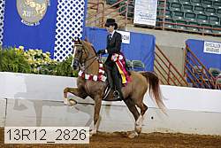 13r12_2826 proof