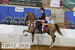 13r12_2828 proof