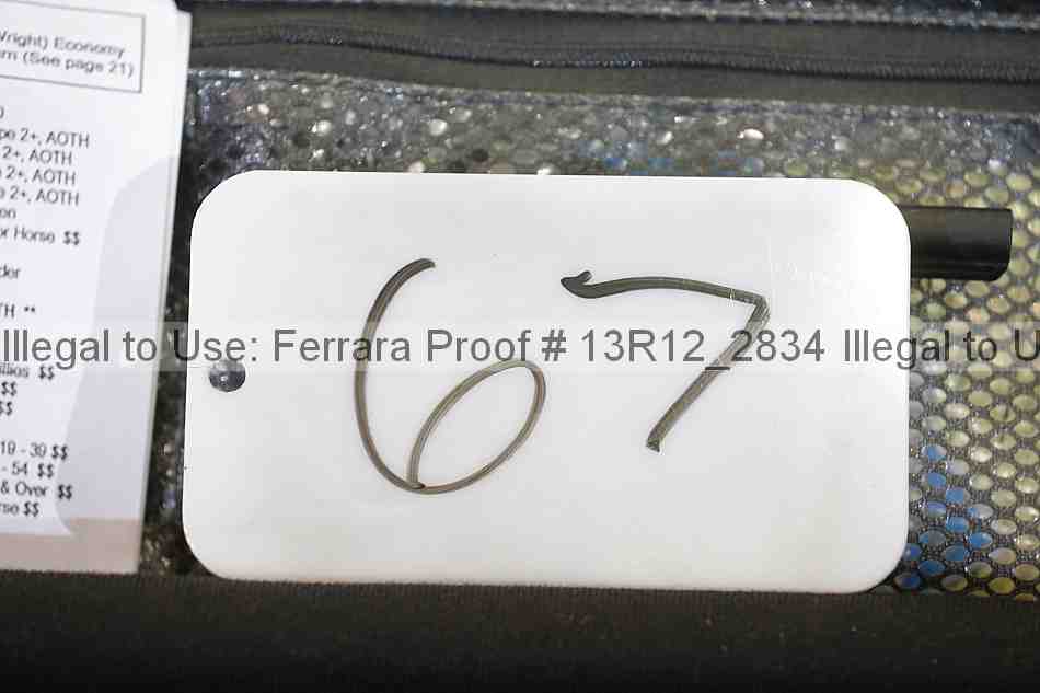 Proof 13r12_2834