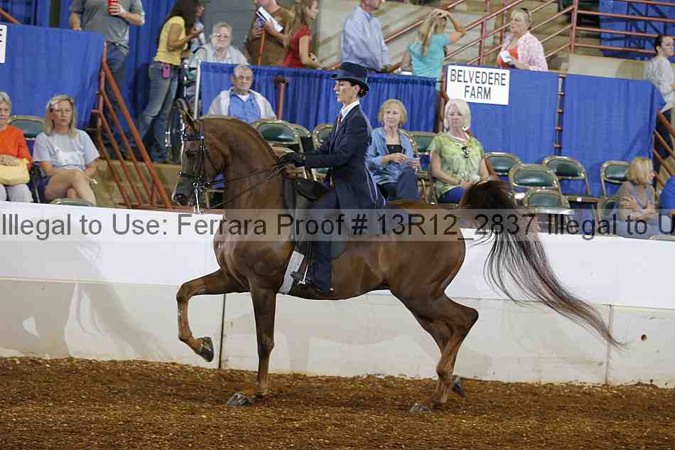 Proof 13r12_2837