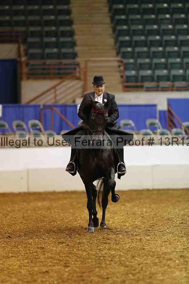 Proof 13r12_2838