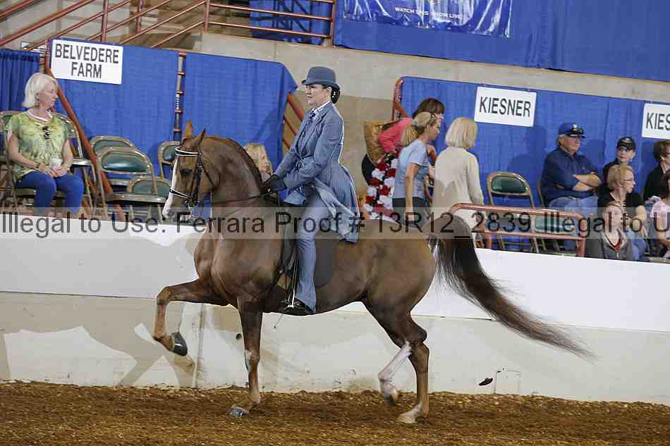 Proof 13r12_2839