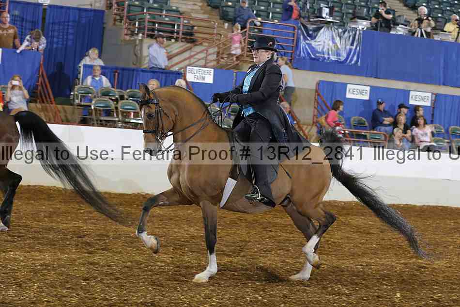 Proof 13r12_2841