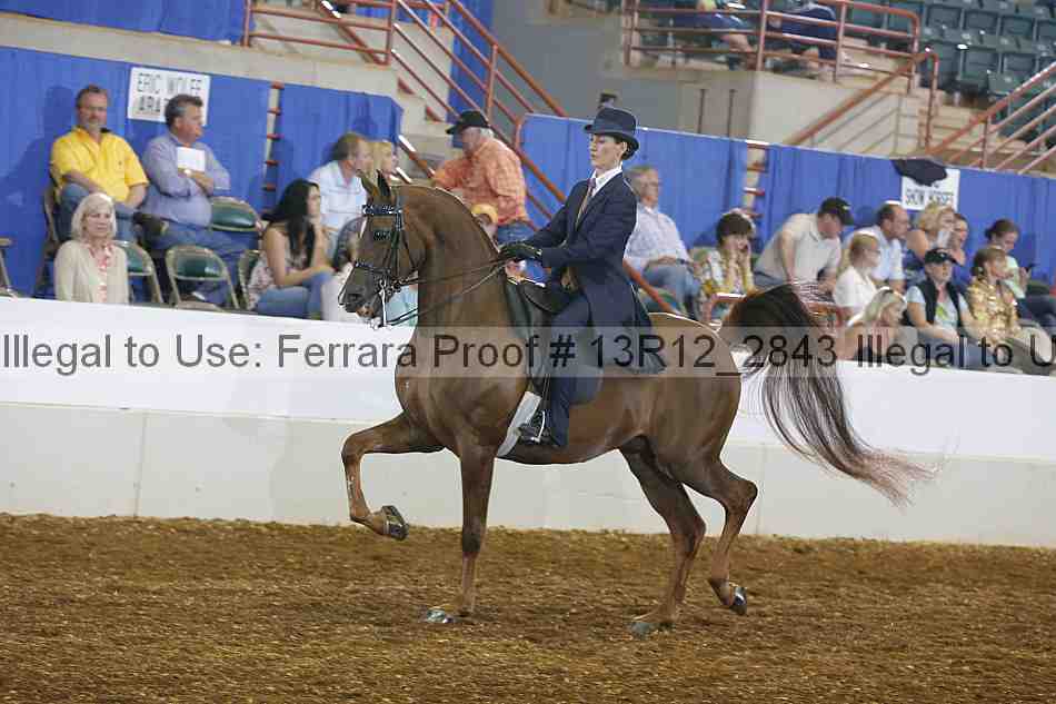 Proof 13r12_2843