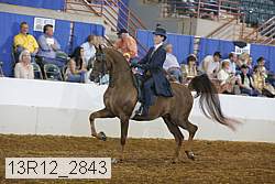13r12_2843 proof