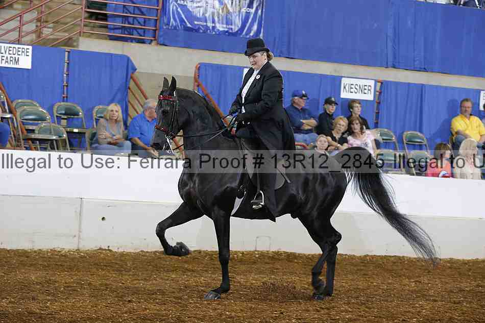 Proof 13r12_2845