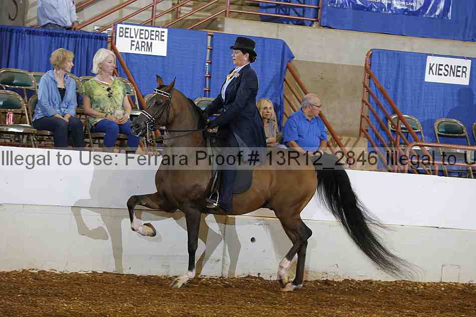 Proof 13r12_2846
