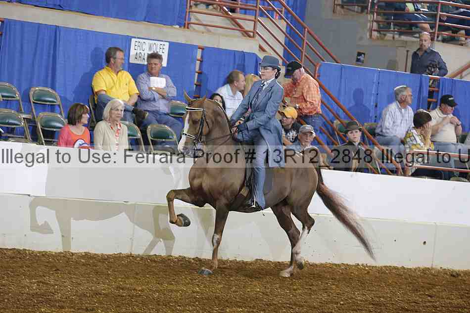 Proof 13r12_2848