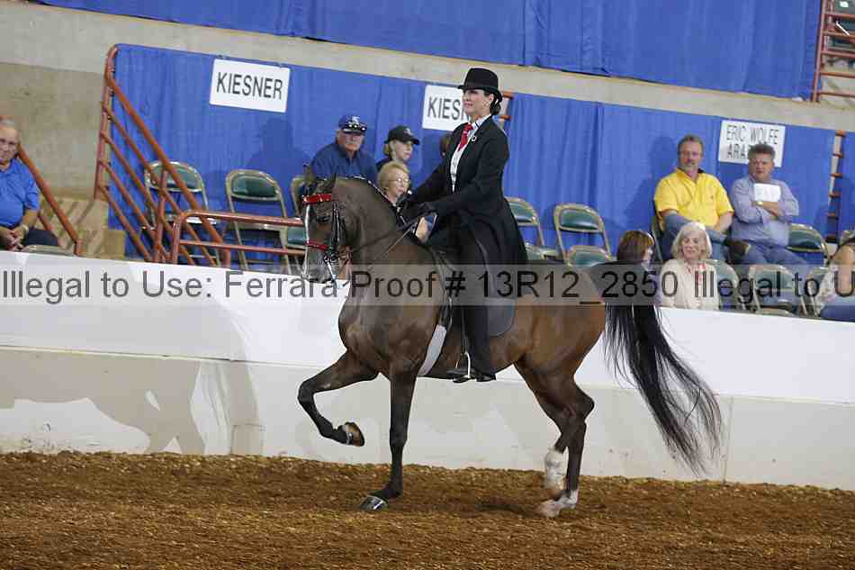 Proof 13r12_2850