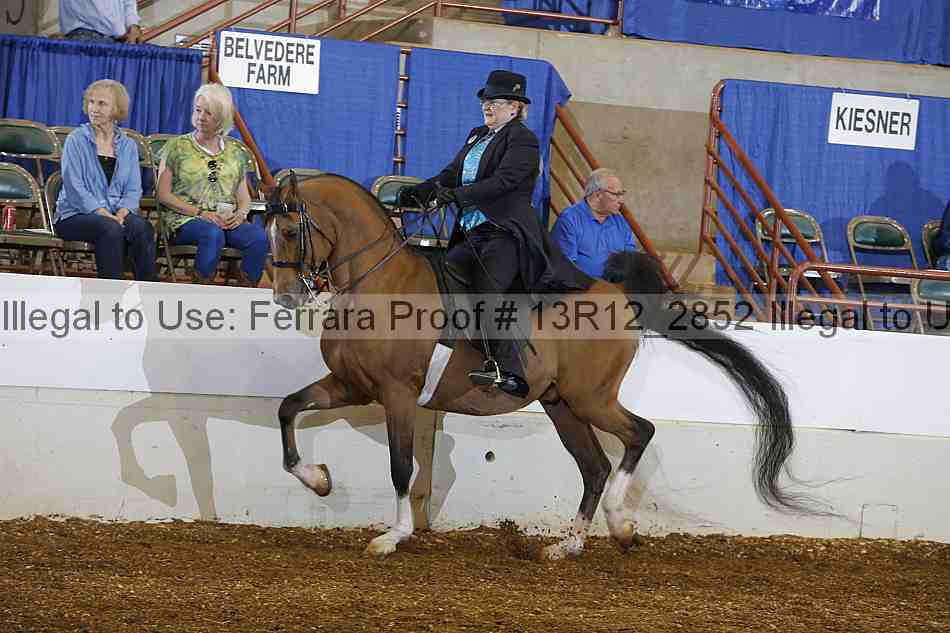 Proof 13r12_2852