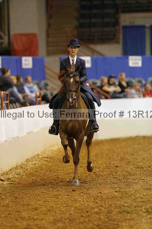 Proof 13r12_2853