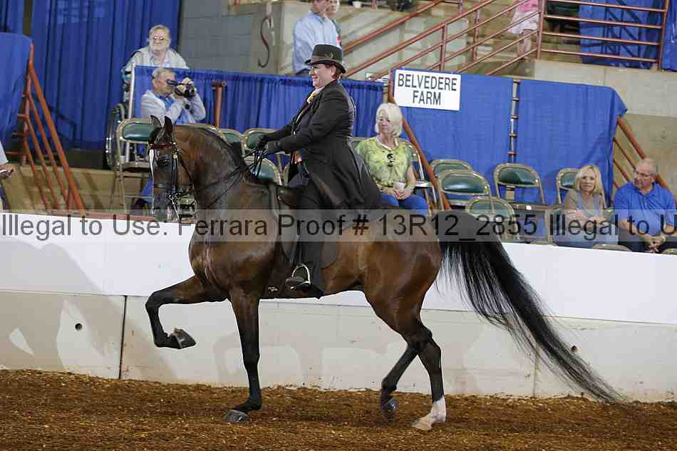 Proof 13r12_2855