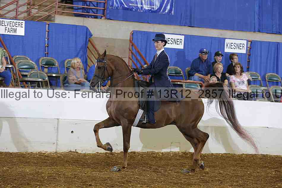 Proof 13r12_2857