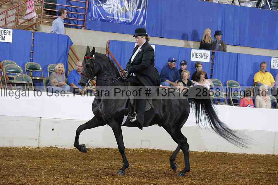 Proof 13r12_2858