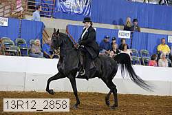 13r12_2858 proof
