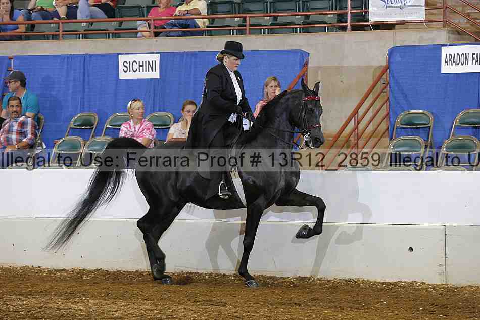 Proof 13r12_2859