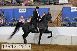 13r12_2859 proof