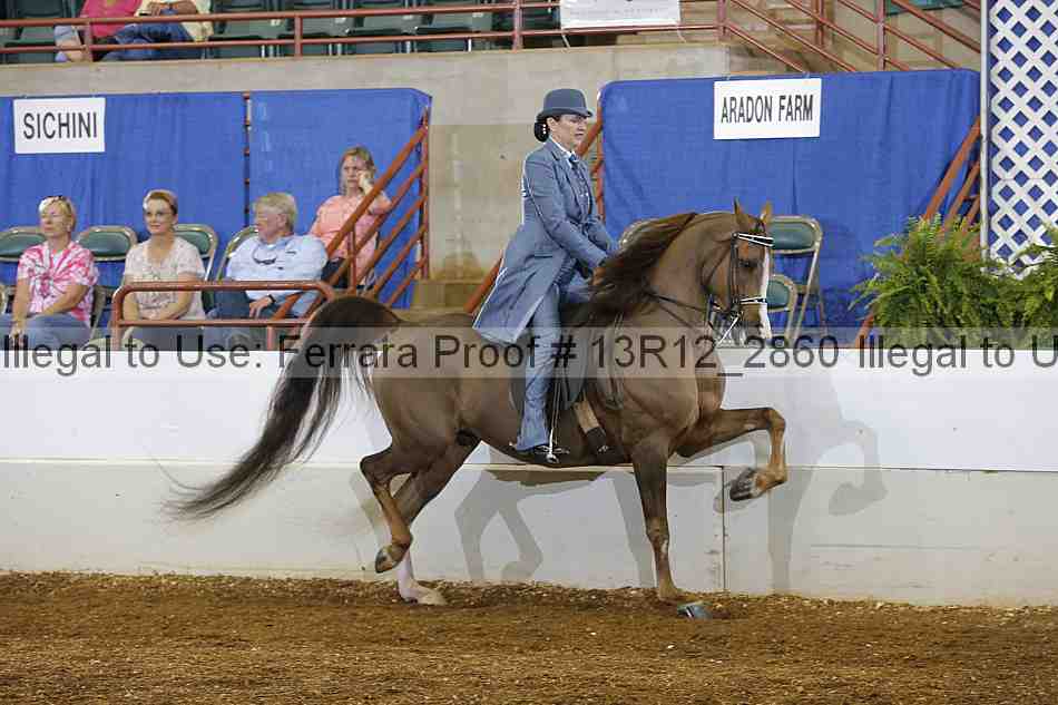 Proof 13r12_2860