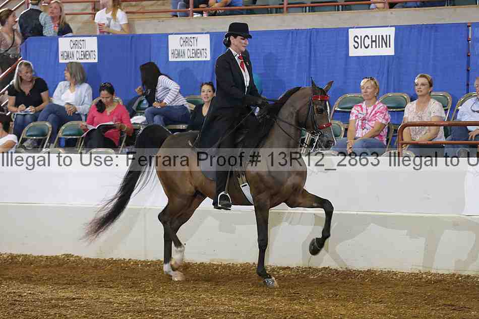 Proof 13r12_2863