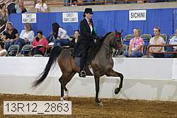 13r12_2863 proof