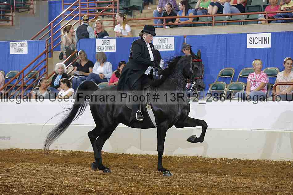Proof 13r12_2864