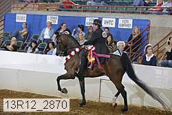 13r12_2870 proof
