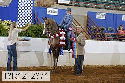 13r12_2871 proof