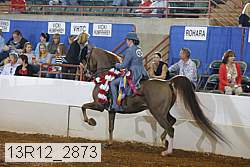 13r12_2873 proof