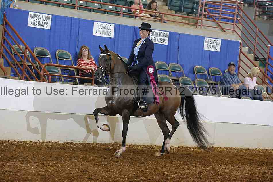 Proof 13r12_2875