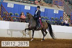 13r12_2875 proof