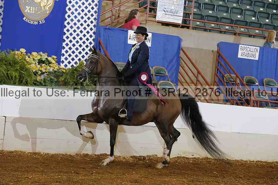 Proof 13r12_2876