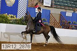 13r12_2876 proof