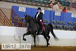 13r12_2878 proof