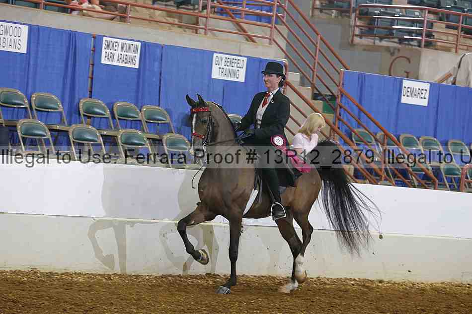 Proof 13r12_2879
