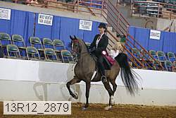 13r12_2879 proof