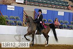 13r12_2881 proof
