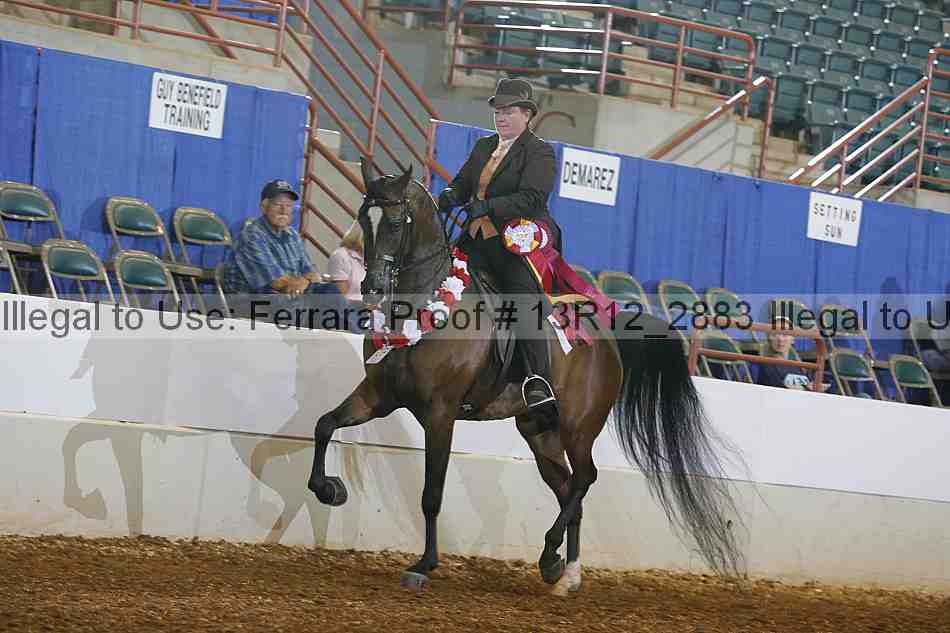 Proof 13r12_2883