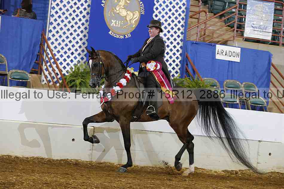 Proof 13r12_2886